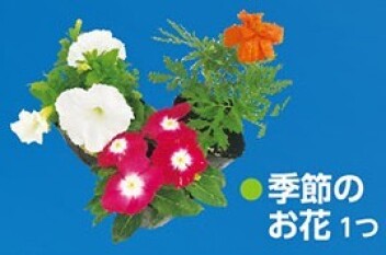 岐南店大感謝祭まであと７日！！